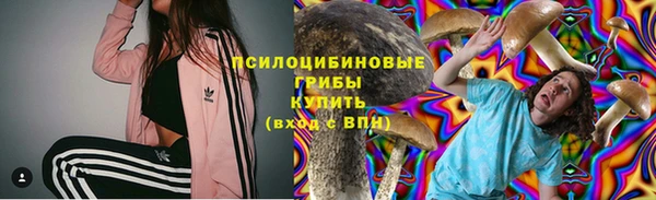 шишки Беломорск