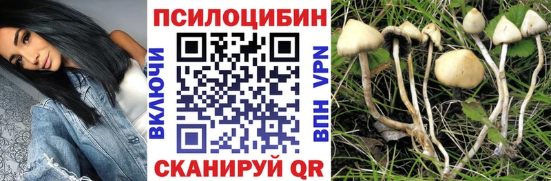 omg маркетплейс  Невельск  Галлюциногенные грибы Psilocybe 