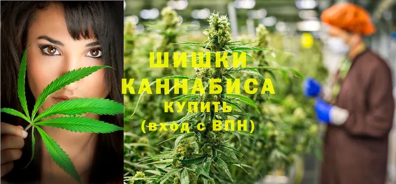 цена   это как зайти  Шишки марихуана OG Kush  Невельск 